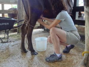 Hotel Rio Celeste Finca L´ Etoile Celeste