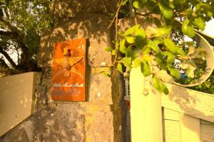 A House in The Woods