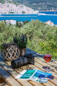 Olive Grove Apartment Skopelos Greece