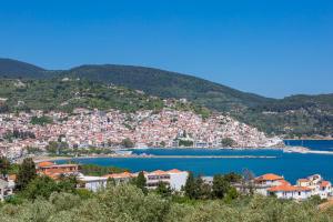 Olive Grove Apartment Skopelos Greece