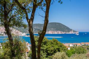 Olive Grove Apartment Skopelos Greece