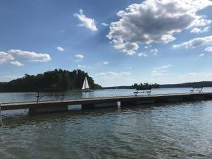 Przytulisko na Mazurach