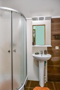 Апартаменты Mieszkania Apartments Svitlana
