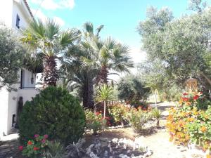 Villa Mariana Messinia Greece