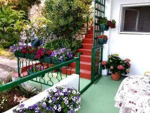 Apartman Kristin - Ravanje