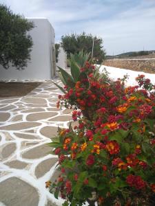 Galaxy Apartments Paros Greece