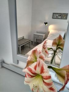 Galaxy Apartments Paros Greece