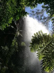 斯布林布鲁克故事书住宿加早餐旅馆 - Upper Tallebudgera