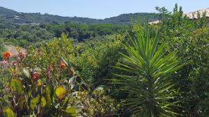 Villa Les hauts de Benista