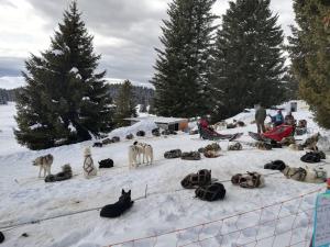 Appartements Charmant studio cabine COCOON a 100 m des pistes : photos des chambres