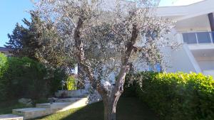 Casa Riccardo Urban B&Bio