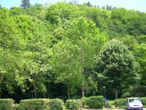 Apartamento en Contranquil