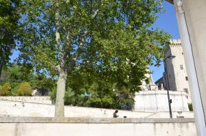 Appartements face au Palais des Papes : photos des chambres