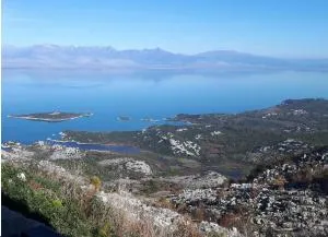 Livari Viewpoint - Podvrat