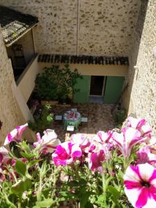 Appartements Le Terebinthe Gite : photos des chambres