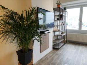 appartement oostende vlak aan zee