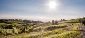 B&B Le Strade del GAVI img32