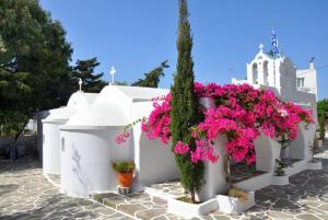 Neptune Alonissos Greece