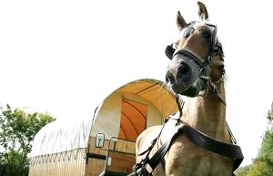 Bungalou Wozy cygańskie-caravaning konny Wierzchowo Polonia