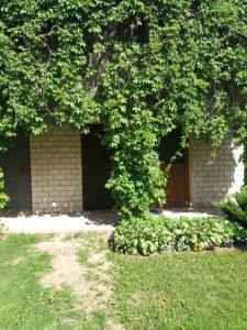 Lejas dzīvoklis Beči