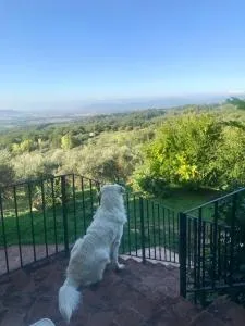 Agriturismo Campo al Crognolo - Sassofortino