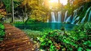 Apartman Viktoria - Selište