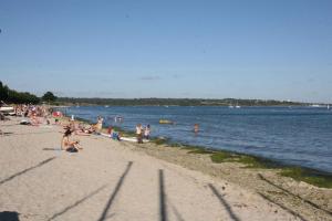 Les toiles de mer