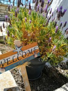 Eleftherias Apartments