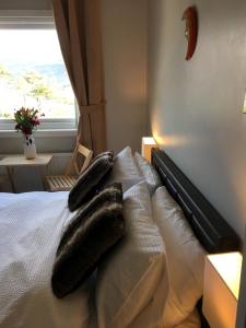 Lochalsh View, Kyle, 1 Mile to Skye