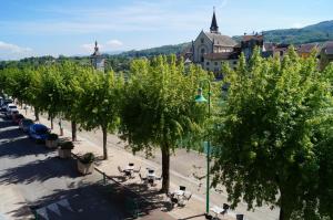 Hotels hotel du Rhone : Chambre Lits Jumeaux avec Balcon