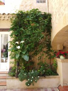 Appartements Le Terebinthe Gite : photos des chambres