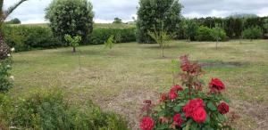 Villa Sorrentina img55