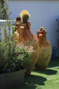 CattedralFlats -Comfort, Stile e Vista sulla Cattedrale