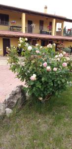 Villa Sorrentina img54