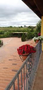 Villa Sorrentina img51