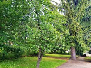 Muskátli Üdülőház