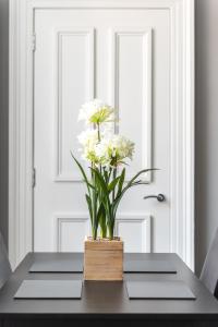 Spacious newly refurbished central apt