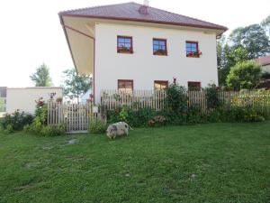 Ubytování Praschlhaus