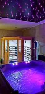 Villas Gites Spa Strasbourg - La Villa 11 : photos des chambres