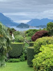 Double or Twin Room with Garden View room in Hotel Loveno