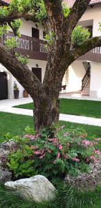 Resort Vidmar near Bled - rooms Vidmar