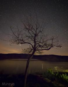 Casa Rural SPA El Rincón de Palmacio