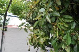 Bonita casa cálida para el relax con wifi