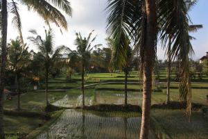 Dewa House Bisma