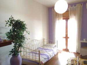 Apartment Arianna 150mt from beach img4