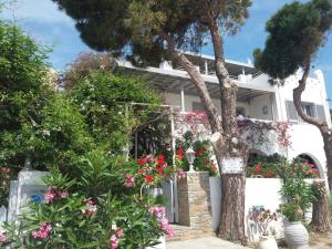 Villa Arni Andros Greece