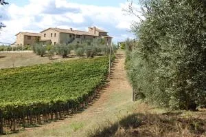 Linearis Holiday House - Poggibonsi