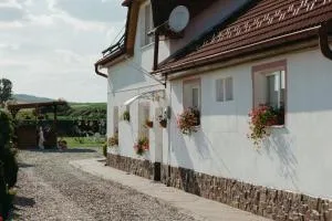 Casa Dan & Lili - Topîrcea