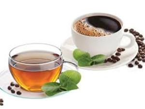 Chandra Hostel Koh Tao