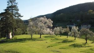 B&B / Chambres d'hotes Domaine Le Broual : photos des chambres